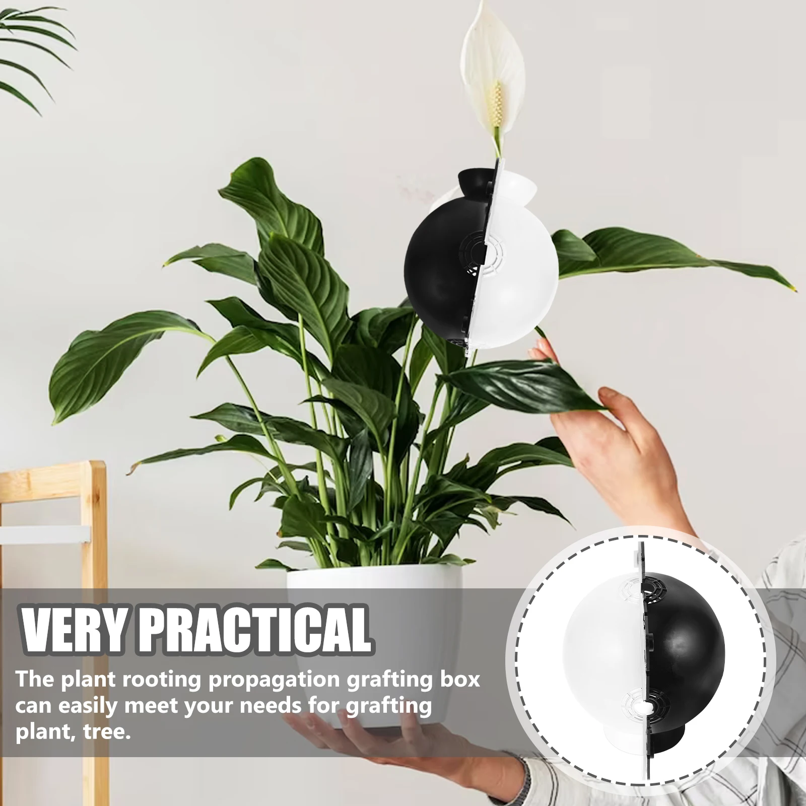 

Plant Root Propagation Box Classic Color Durable Rooting Ball Portable Lightweight Root Growing Box for Tree and Plant Air