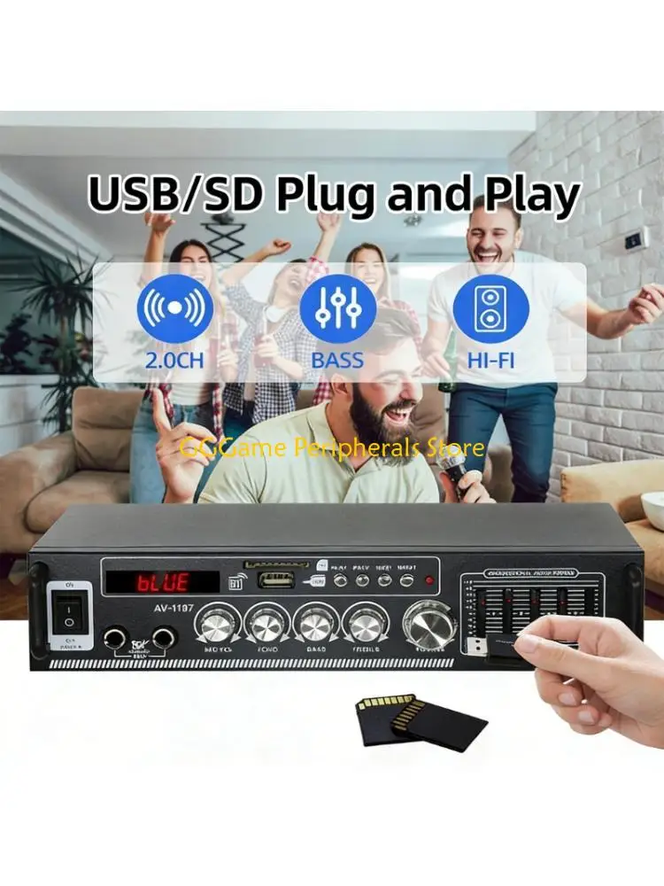 U55B Wireless Stereo Amplifier With FM Radio USB Card Slot And Microphones Input