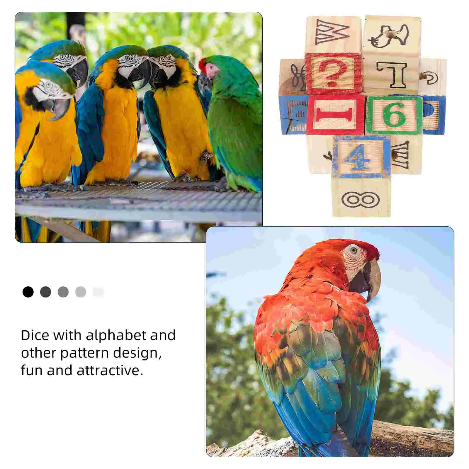 Blocs de lettres et chiffres en bois, 8 pièces, jouet Alphabet pour perroquets d'animaux, lisses, sûrs, Non éducatifs, Cubes de Puzzle en bois lumineux