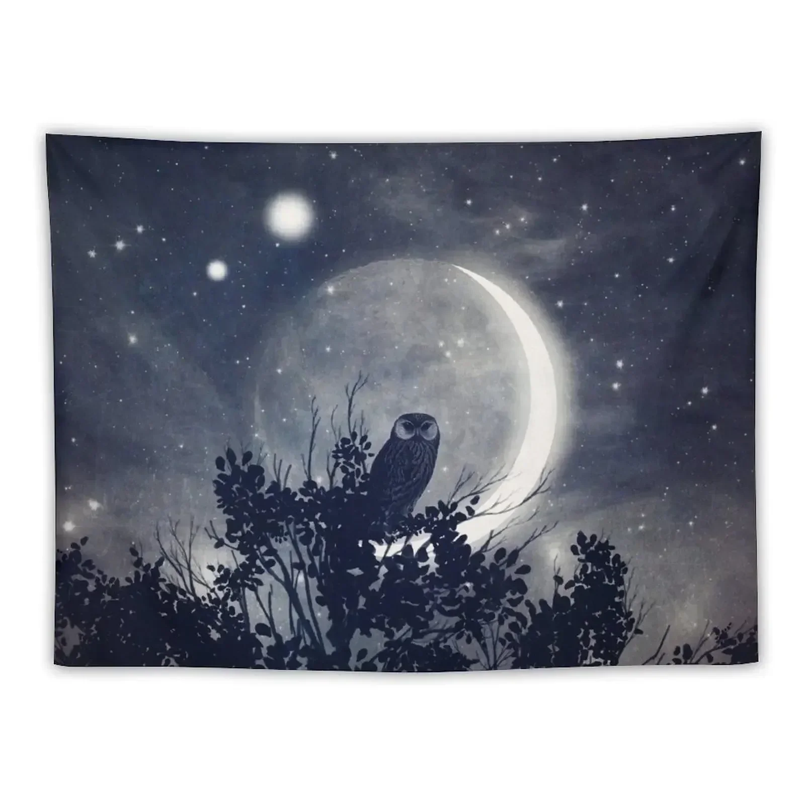 A Night with Venus and Jupiter Tapestry Room Decor Korean Style Outdoor Decoration Tapestry