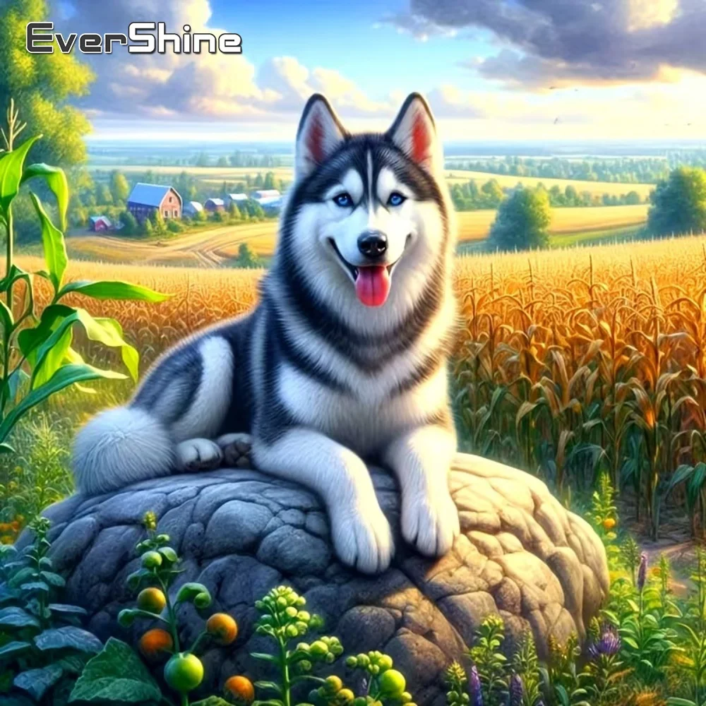Evershine DIY Hund Diamant Stickerei Tier Bild von Strasssteinen Vollquadrat Rund Diamant Malerei Wolf Mosaik Handwerk