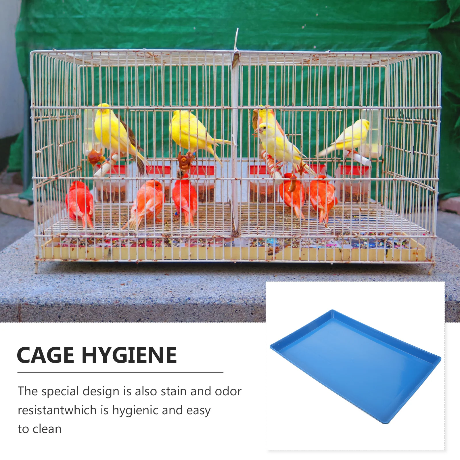 

Plastic Dog Box Pan Durable Pet Cage Bottom Tray Reusable Dog Crate Tray Toilet Pan Pet Poop Holder Parakeet Poop Holder