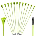 green 12 pieces