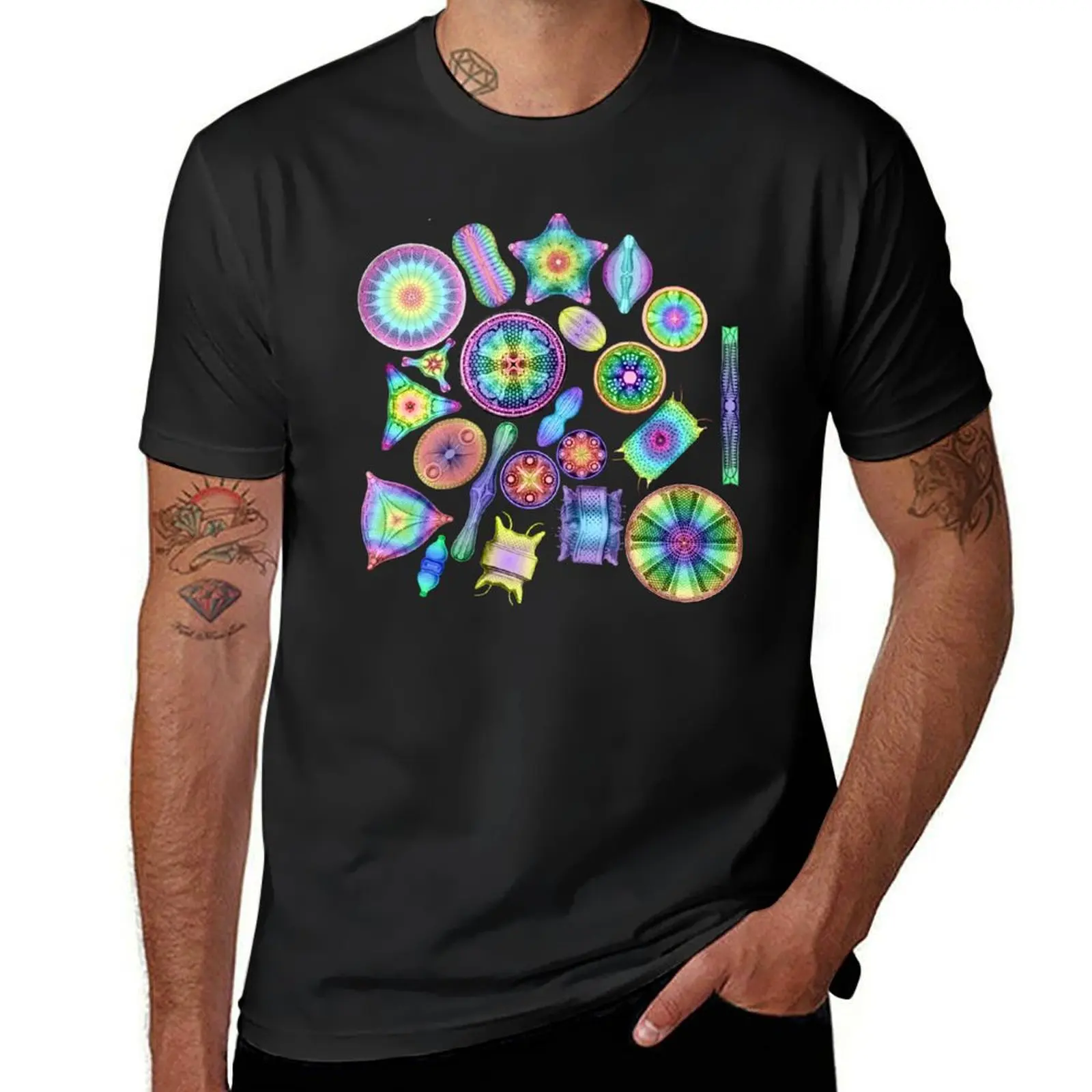 Ernst Haeckel Rainbow Diatoms on Black T-Shirt animal prinfor boys kawaii clothes quick drying funnys men t shirts