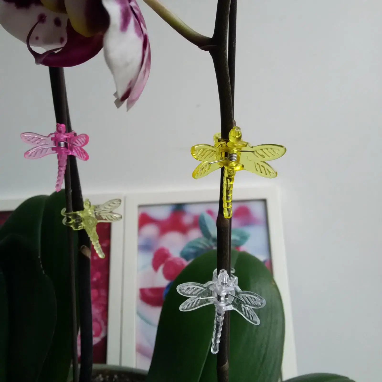 

30 Pieces Garden Plant Support Clips, Tomato Trellis Clips, Butterfly Orchid Clips, Cute Flower Clips