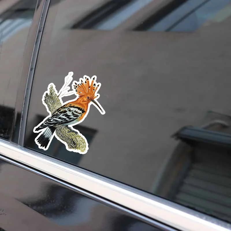 Hoopoe Yellow-brown Toucan Car Sticker Animal Stickers Auto Accessories Fashion PVC Bumper Decorative Waterproof Decal 17*12cm