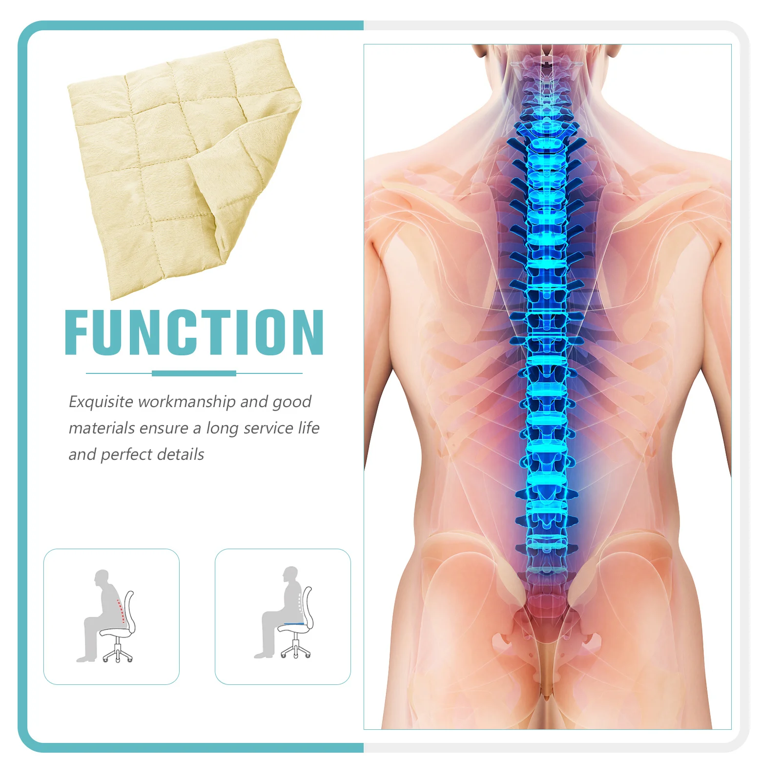 

Supple Chair Inner Cushion Moxa Material Fashion Comfortable Design Suitable Room Bedroom Playing Dining Room