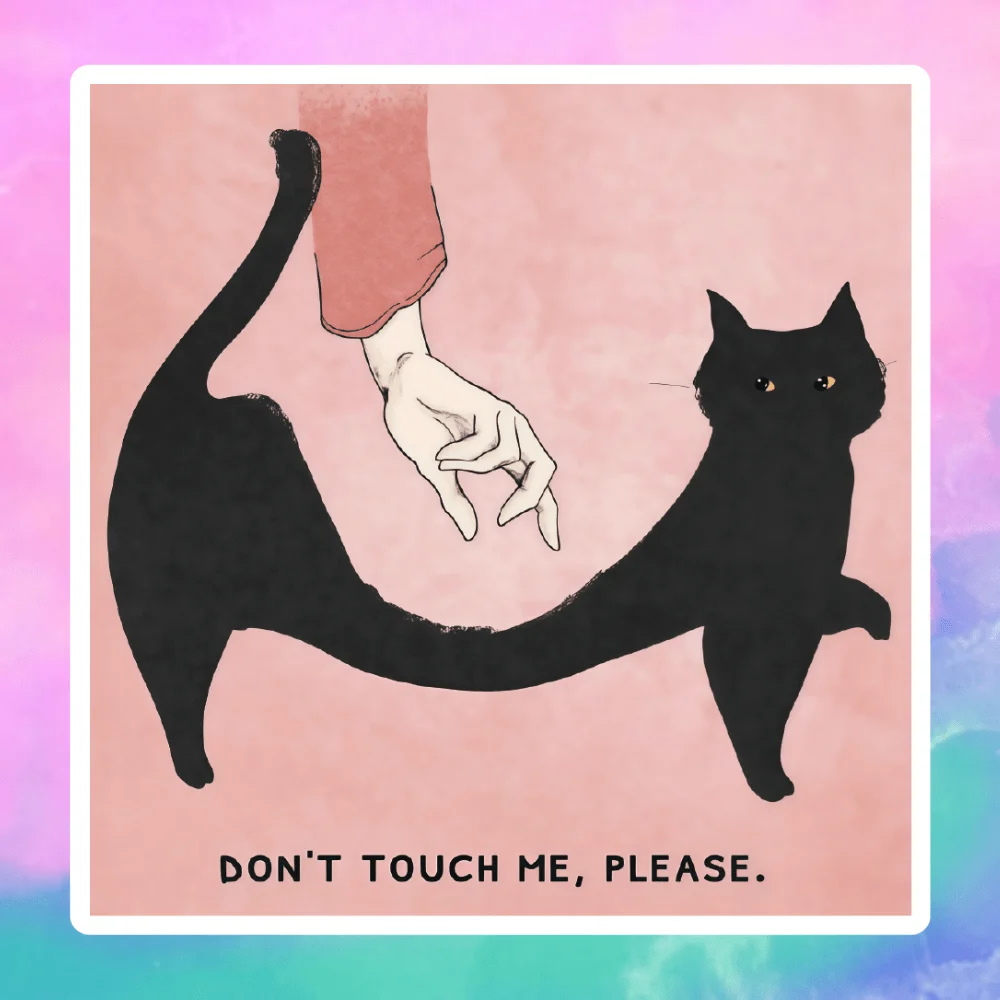 3pcs of black cat stickers that refuse to be touched by hands, suitable for decorating laptops, water bottles, etc