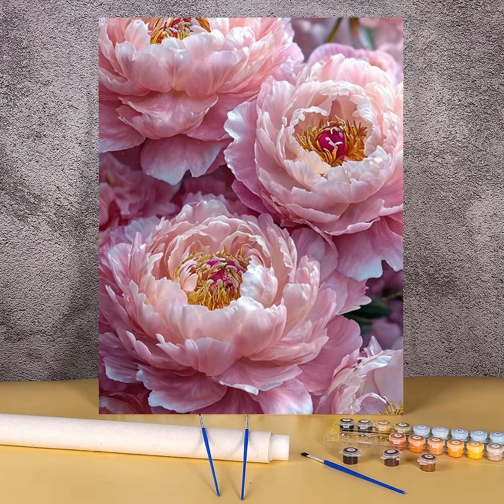 DIY Malen nach Zahlen Leinwand-Malset Pfingstrosenblume Kunst 30x40cm Bilder nach Zahlen Einzigartiges Geschenk Heimdekoration Wandkunst