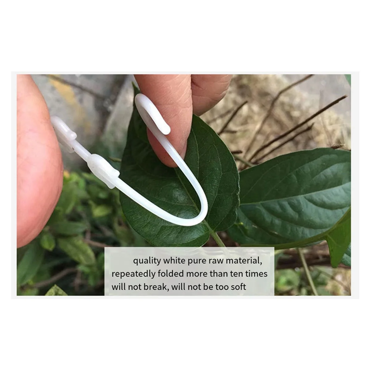 خطاف أذن الطماطم الكرزية AC22، خطاف توتر لدعم الأذن، خطاف تعليق الفاكهة #3