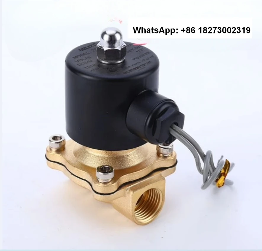 Delixi pneumatic component 2W all copper normally closed water valve 2W160-15 2W025-08 4 inch 1 inch 2 inch