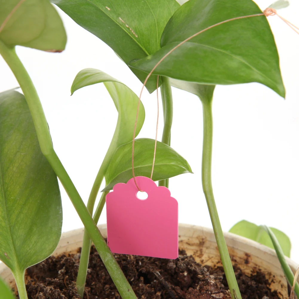100 قطعة تسميات نباتات الحديقة البلاستيكية الحضانة حديقة تسميات علامات النباتات المعلقة DIY بها بنفسك الشتلات تسميات لحديقة النباتات #6