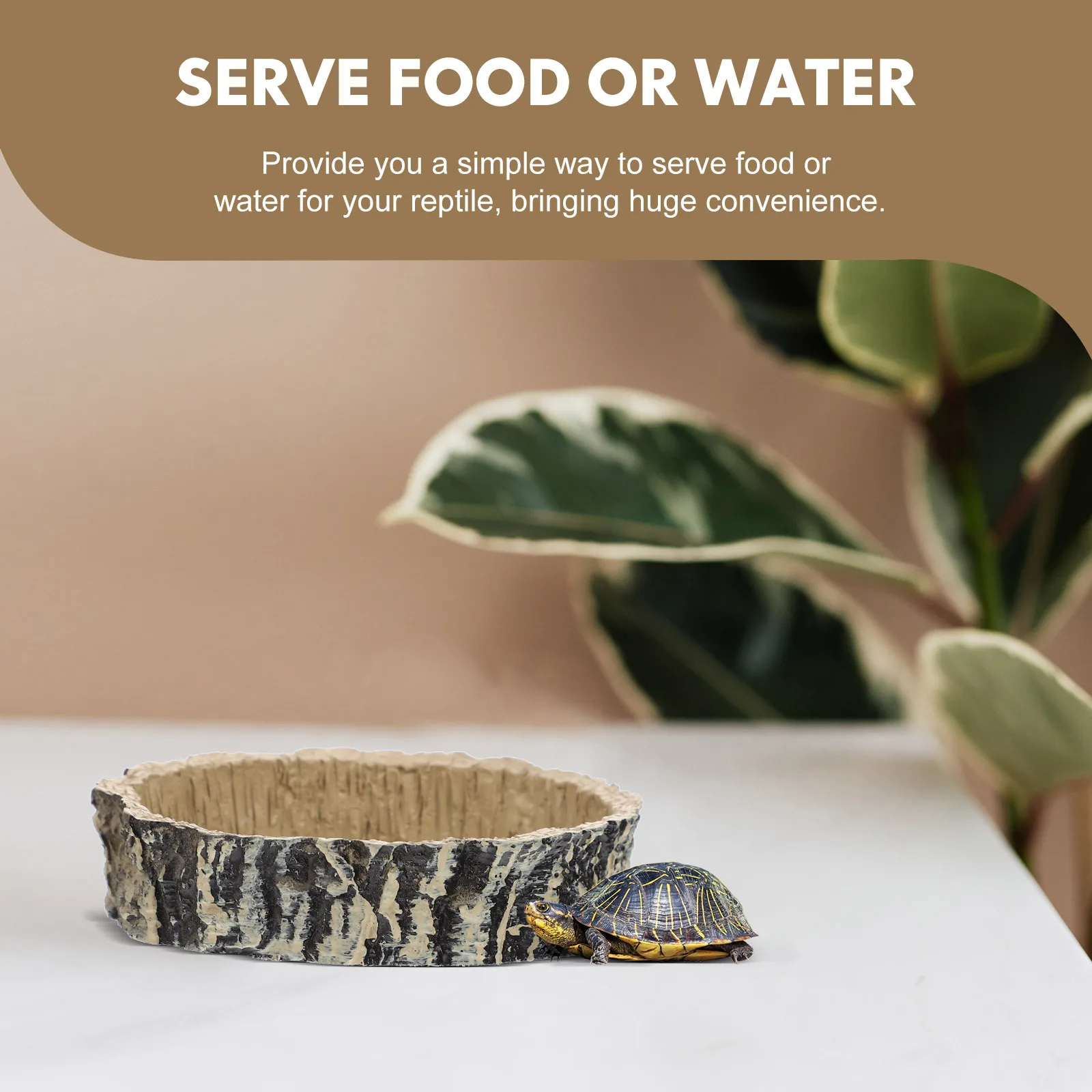 

1pc Bark Reptile Food Bowl For Lizard Snake Turtle Terrarium Feeding Water Container Water Dish Pet Cage Accessory