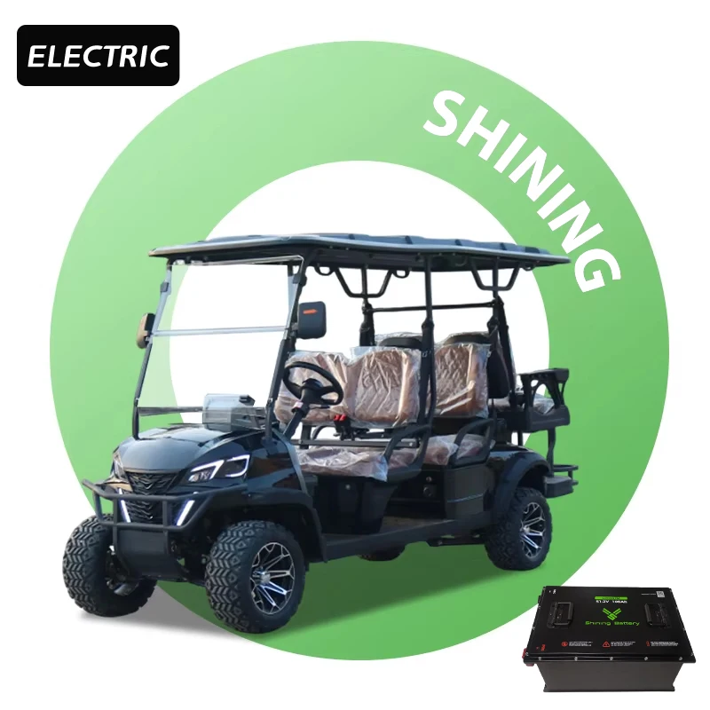 Shininglsv New Model Custom Electric Vehicle Utility Off-road Lithium Battery Cool Street Legal Golf Carts