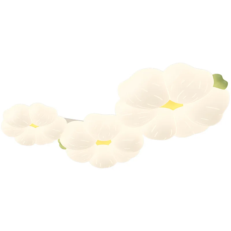 

Living room ceiling light, eye protection flower hall, spectrum bedroom light