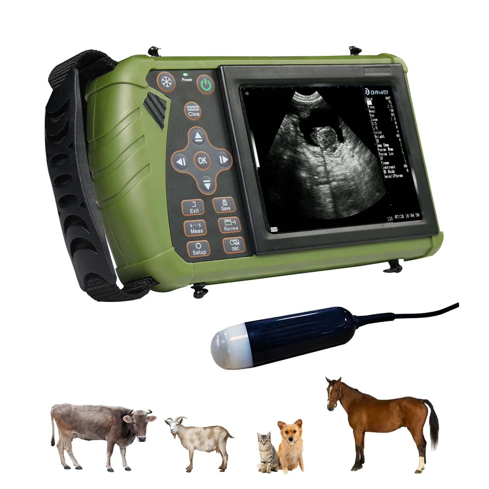 QD-B50U Large Animal Ultrasound Machine S0 - 0-135dB Dynamic Range, Rechargeable Battery, 8GB+USB Storage
