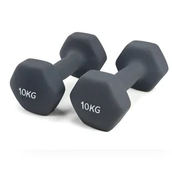 Professional Best-Selling Handheld Fitness Equipment Circular Matte Vinyl Dumbbells