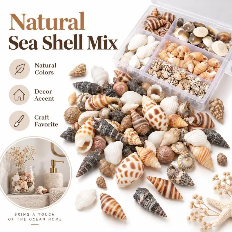 1box Mini Spirals Shells Natural Ocean Seashells for Aquarium Decor Fish Tank Ornament Crafts Jewelry Making