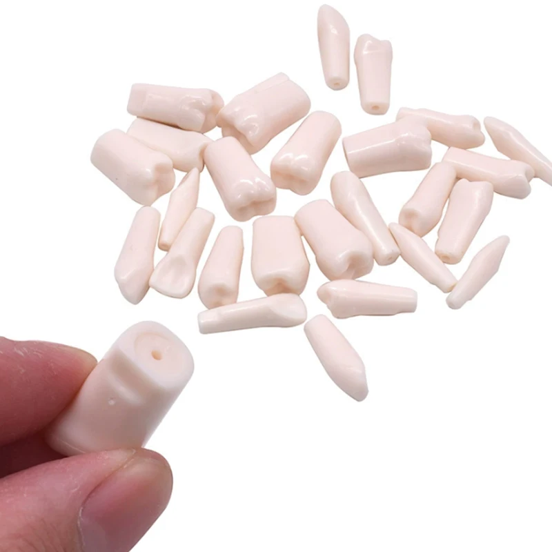 28/32pcs Dental Typodont Teeth Model Removable Individual Screw-in Resin Training Aid Denture Practice Replacement Tooth