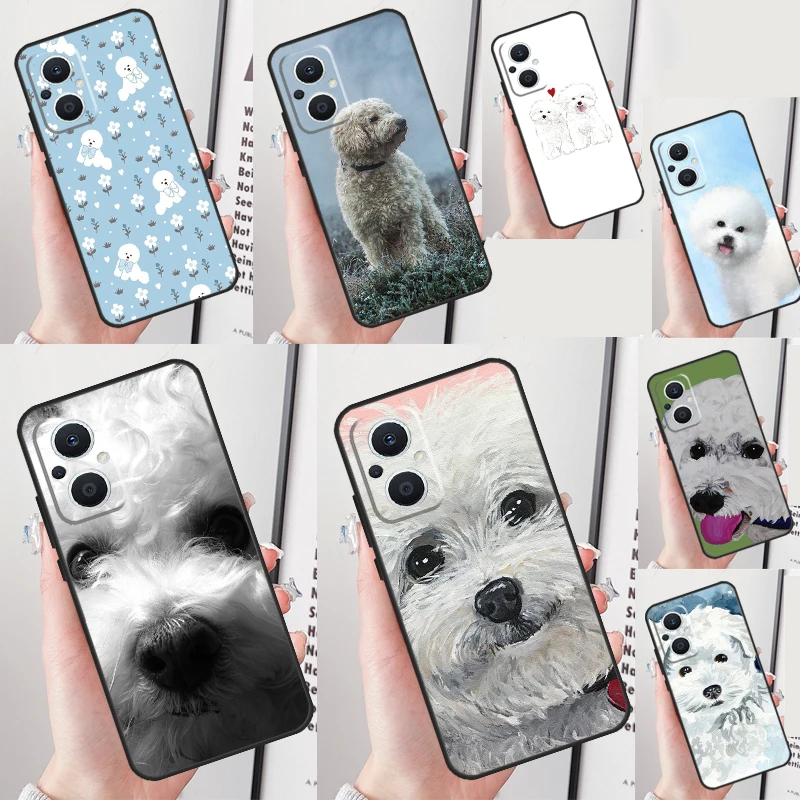 Bichon Frise Dog Pu…