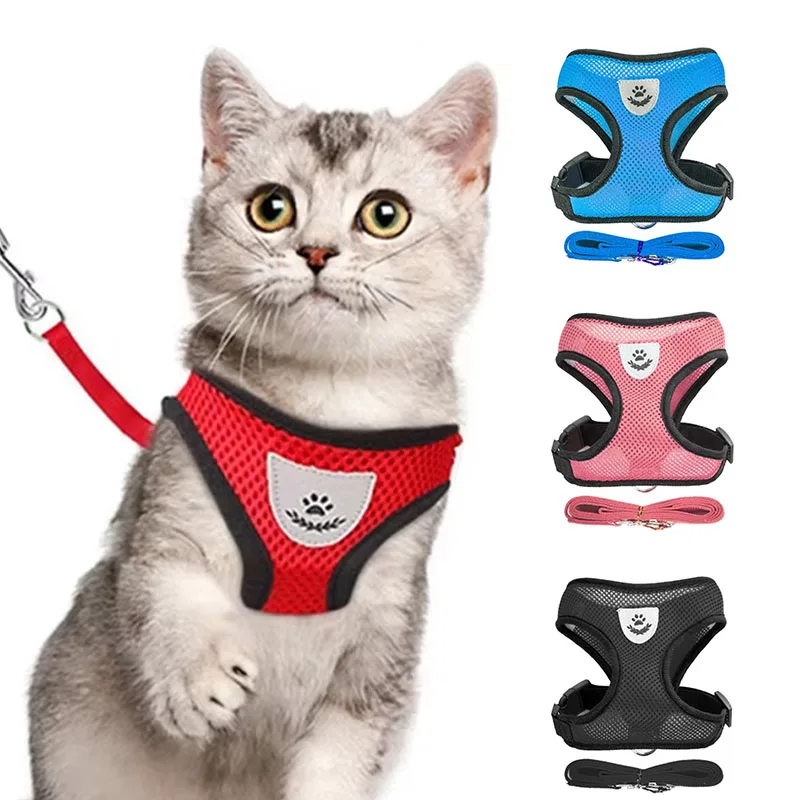 #59 Best Dog Leads to Buy In 2026