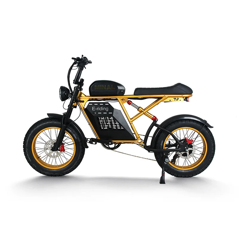 *forHot Sell  Aluminum Alloy Frame 7-Speed E-Bike 20Inch 48V15Ah Lithium Rear Hub Motor Disc Brake Fat Bike 60km Range