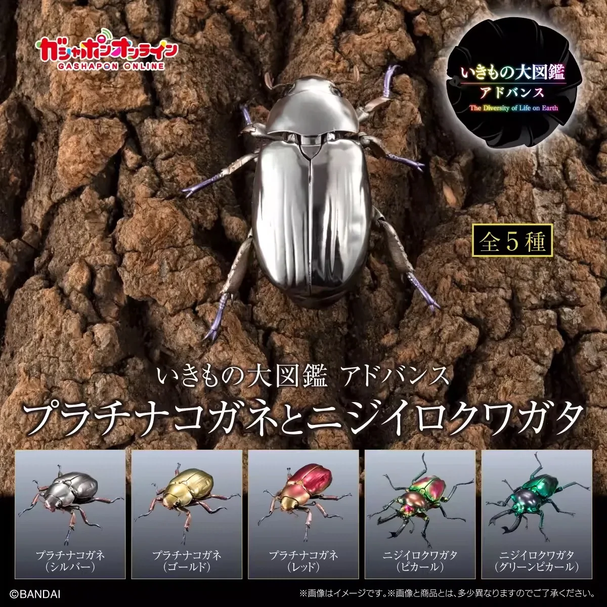 

Gashapon Biological Illustrated Book - FREMIUM Series Jewel Beetle & Rainbow Stag Beetle & Giant Stag Beetle Figure Collection
