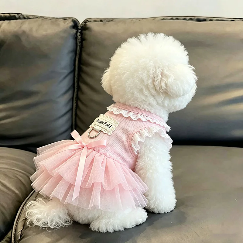 Sommerliches, dünnes Kleid im Prinzessinnenstil mit Spitze, Puffrock und Schleife für Ragdoll-Hunde mit goldenem Farbverlauf und Leine – Detail 4