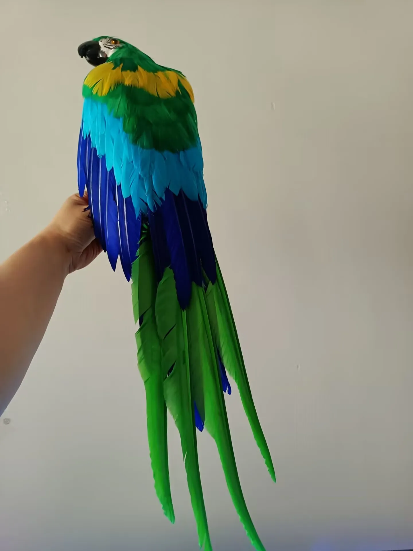 

Simulation foam&feather little wings colorful Parrot Garden Decoration Gift about 50cm d0569