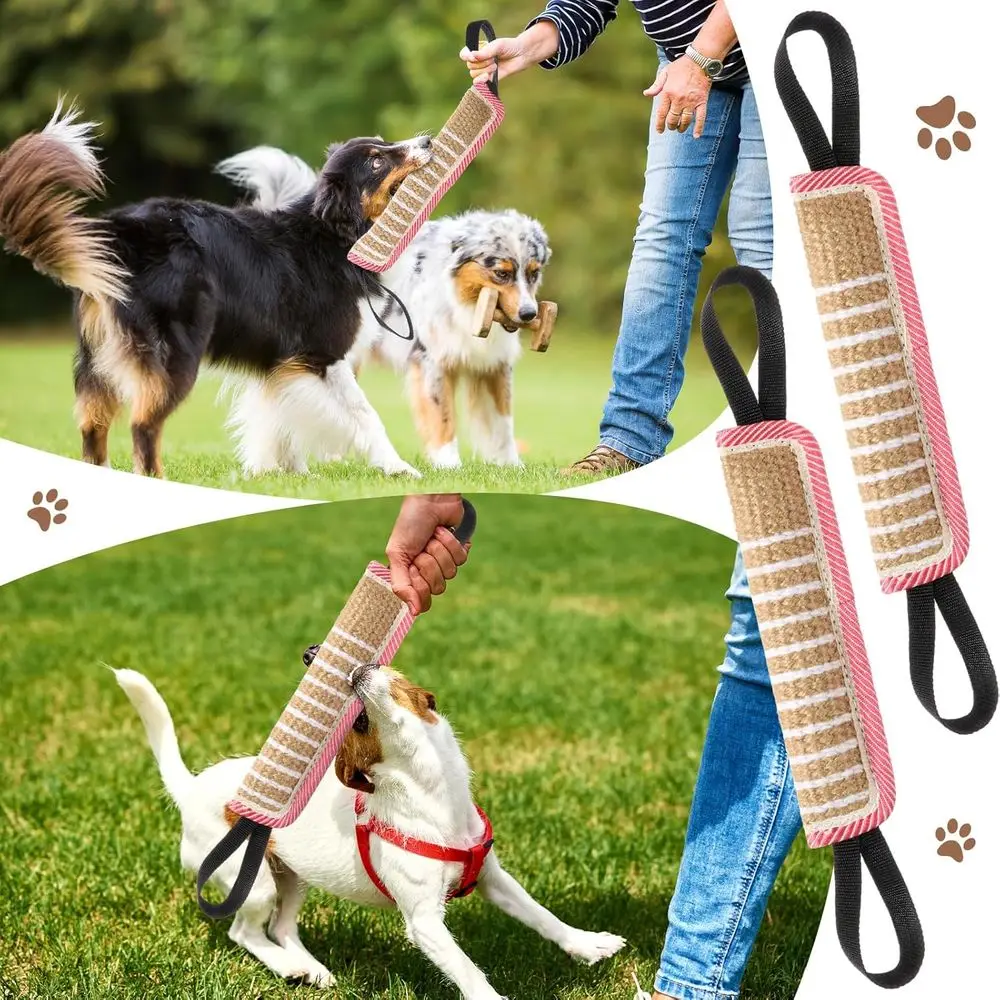 طقم تدريب لدغة الكلاب مع أكمام وسوط وعصا لـ K9، الراعي الألماني، حماية الجرو والتدريب التفاعلي