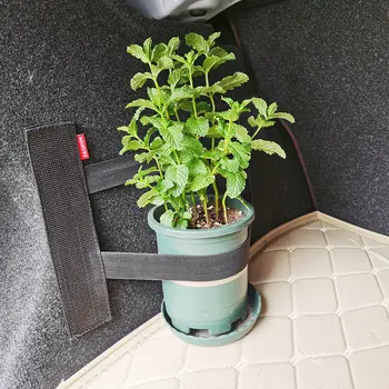 汽車後行李箱收納網魔鬼氈網狀收納袋座椅彈性繩網座椅靠背袋汽車內裝配件 10 最佳銷售 2018年西雅特Leon FR - №5