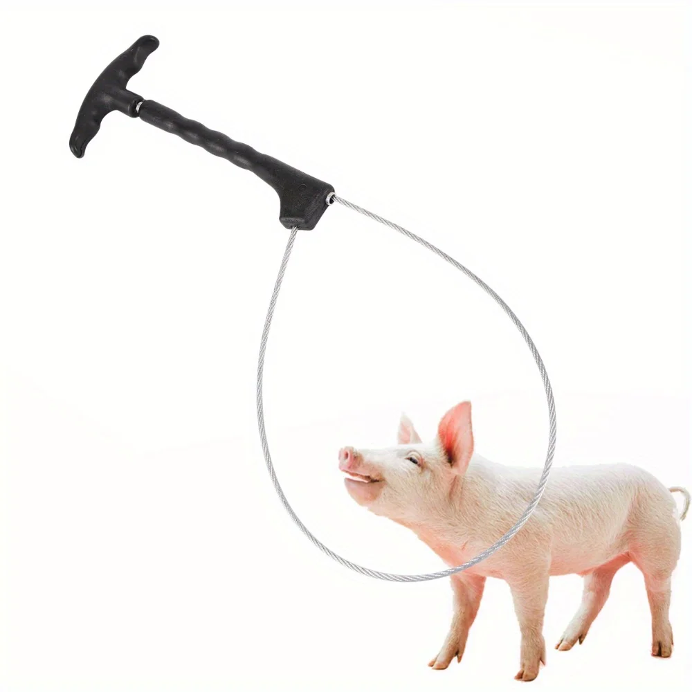 1PC Livestock Pig Baoding Set Pig Fixed Rope Veterinary Equipment Set Livestock Tools for piglet restraint effect