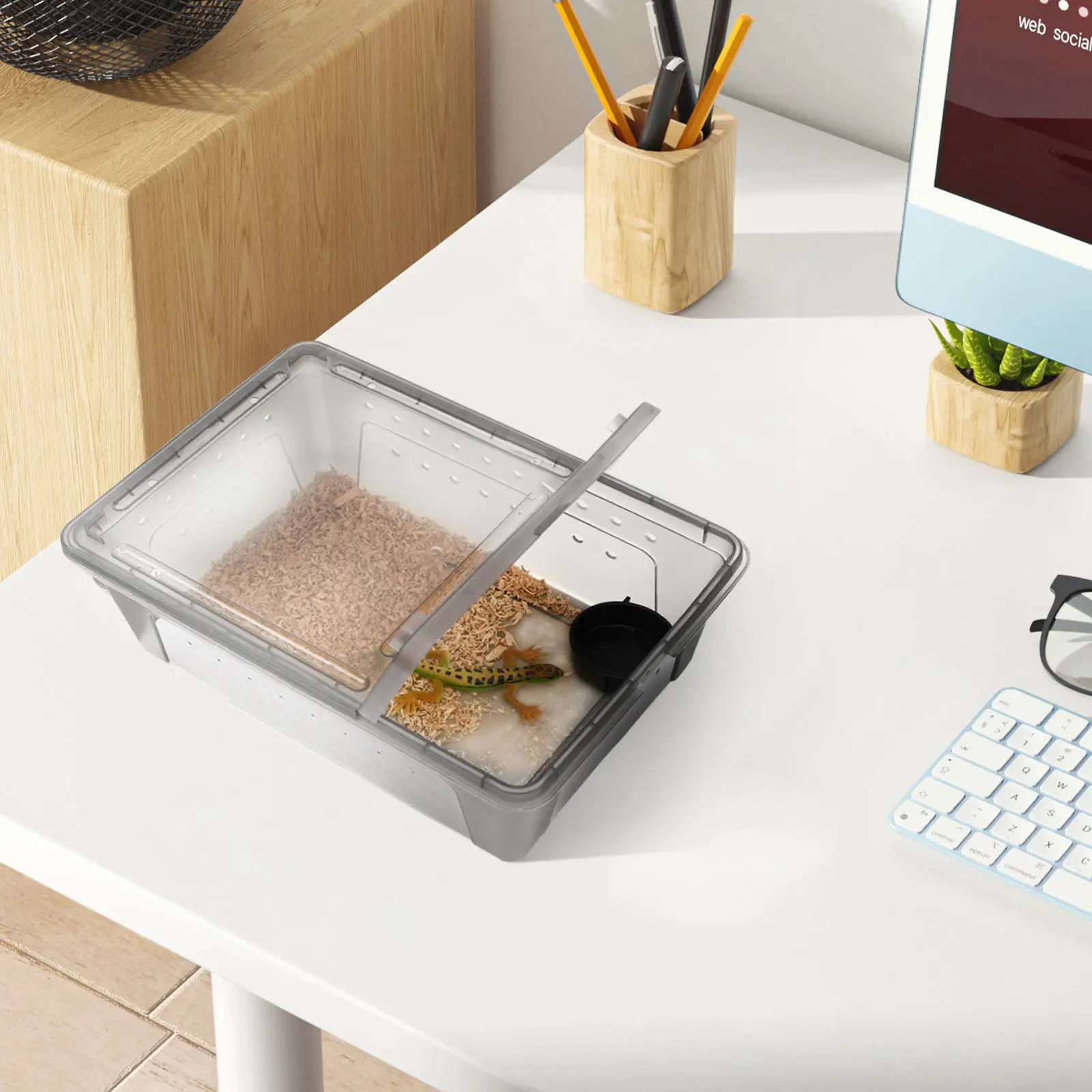 

Пластиковый террариум-бокс для рептилий: безопасный, вентилируемый контейнер для разведения мелких рептилий и насекомых. Товары для рептилий.