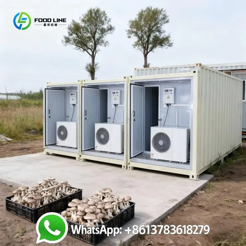 Customized 40ft Steel Smart Mushroom Farm Motor Driven Automated Climate Control High Yield Bag Cultivation Indoor Agriculture