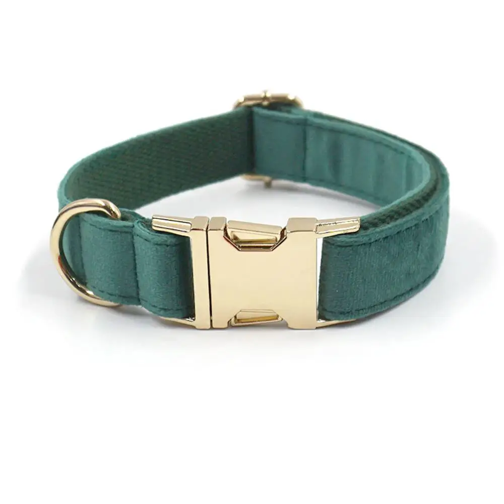 Personalisiertes Hundehalsband aus weichem Samt in mehreren Farben, individuelle kostenlose Gravur, Welpen-Haustierhalsband, passende Leine erhältlich – Detail 21