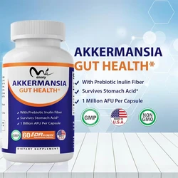 Vitamin Akkermansia Muciniphola for intestinal health -60 DR capsules (delayed release) - made from prebiotic inulin fiber