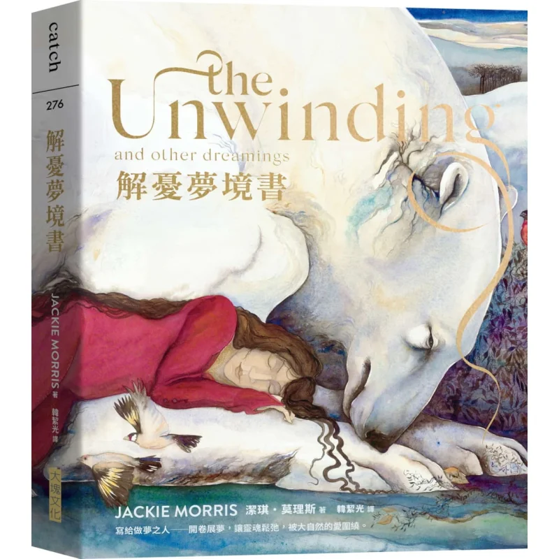 A Dream Book For Relieving Worries Jieqi Maurice Big Block 9786267118030 Book