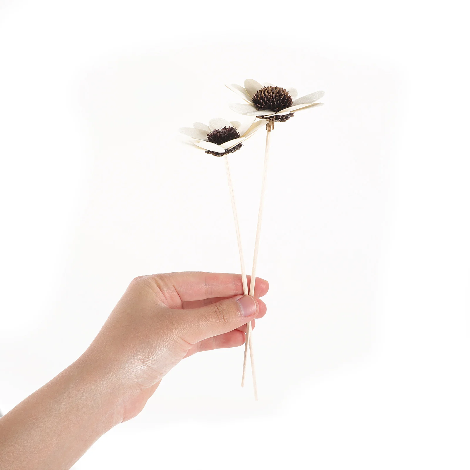 

4pcs Wood Dried Flower Essential Oil Diffuser Replaceable Aroma Sticks For Home Decor Fragrance Diffuser Rods Aromatherapy