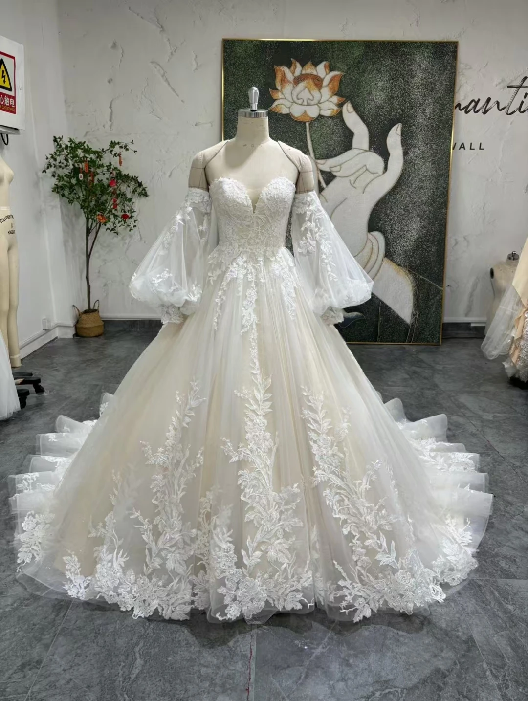 Vestidos de Noiva Ball Gown Sweetheart Appliques Princess Lace Wedding Dress with Detachable Sleeves