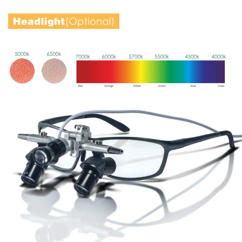 Exp Dental Ergo Loupes 45°Optical Corner Structure 4X Magnifying Glass with 5W LED Light Surgery Lens EU/US Plug