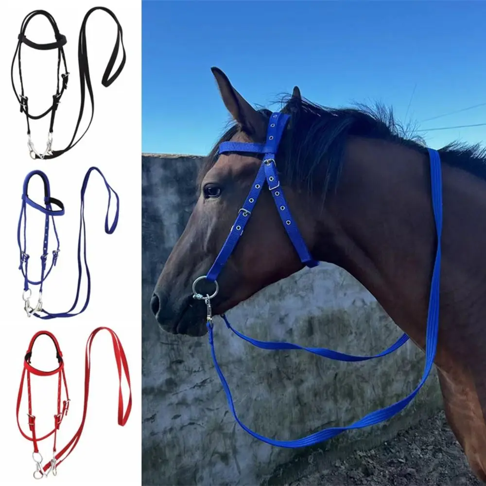 

Thickened Horse Halters Adjustable Strap Comfortable Horse Bridle Headband Heavy Duty Three Colors Horse Neck Stretcher