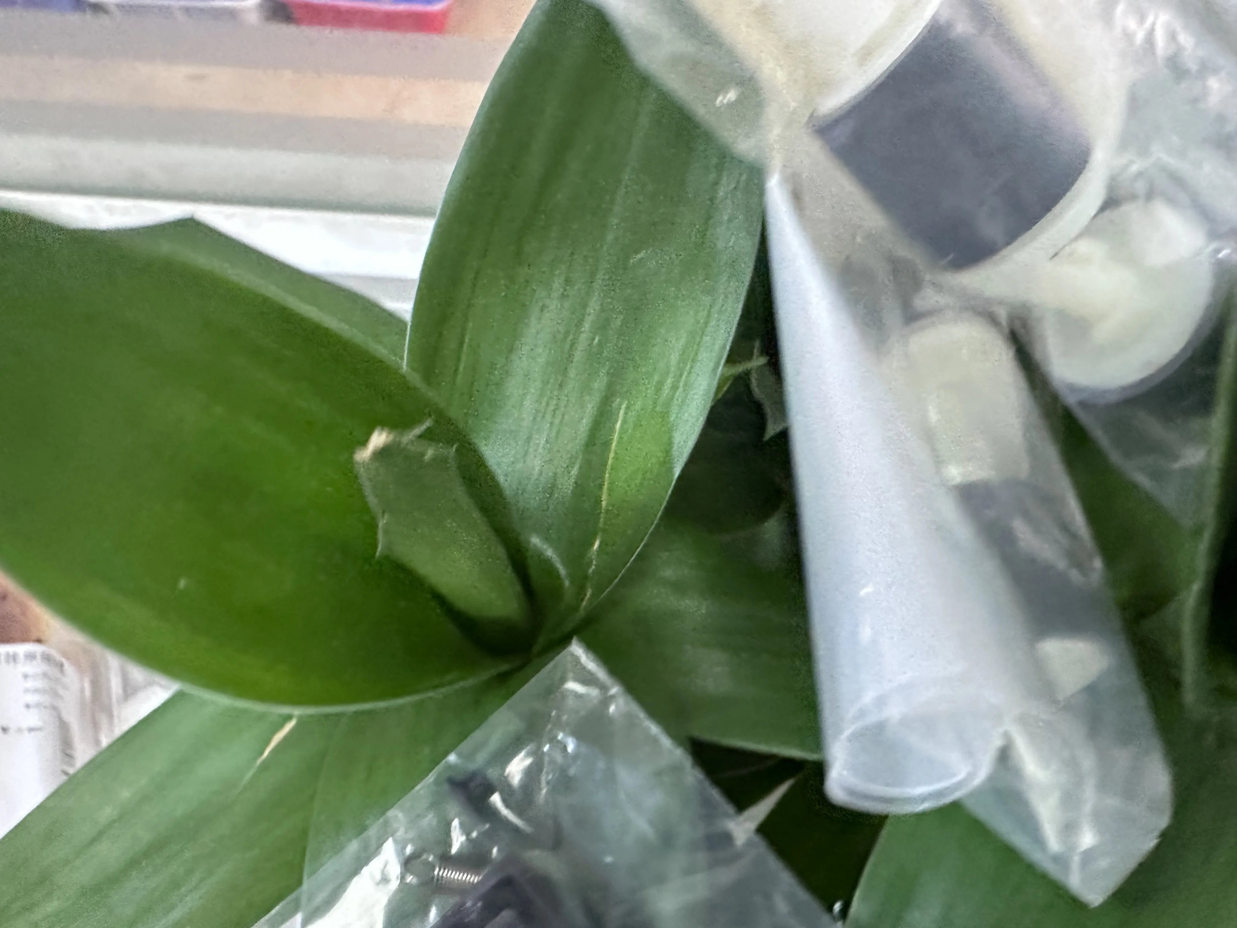 

5X комплект ролика захвата ADF для EPSON L5190 L5198 L5290 L5298 L6170 L6190 L6178 L6198 L6176 L6167 L6290 L6298 L6490 L6498 L14150