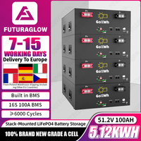GoKWh 48V 100Ah Home Energy Storage 8000 Cycles LiFePO4 Battery Pack 51.2V1200A BMS Off Grid Solar Home Solar Electric System