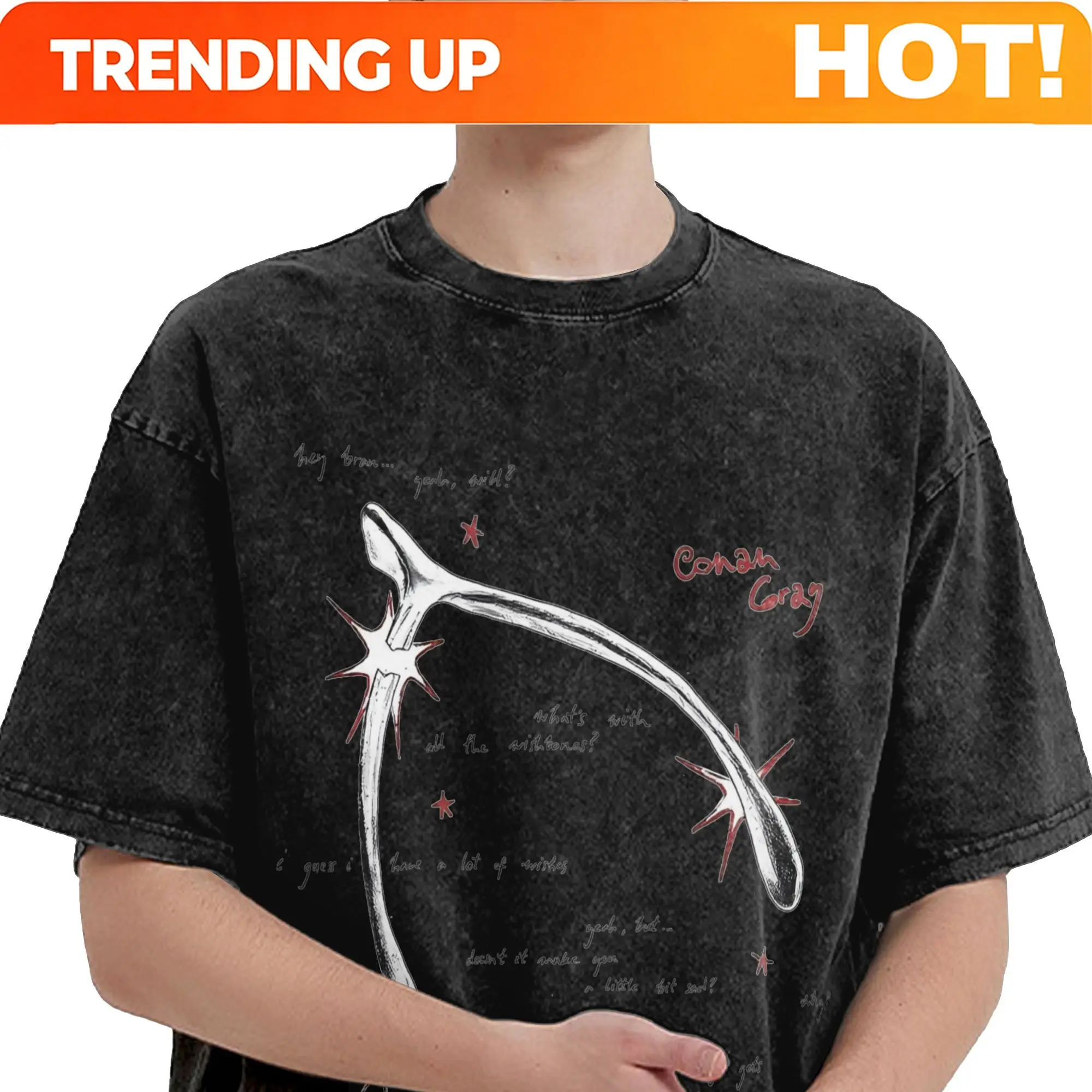 Conan Gray Wishbone Album Men's T Shirt Washed  Amazing Tee Shirt Short Sleeve Round Collar T-Shirts Cotton Birthday Gift Tops