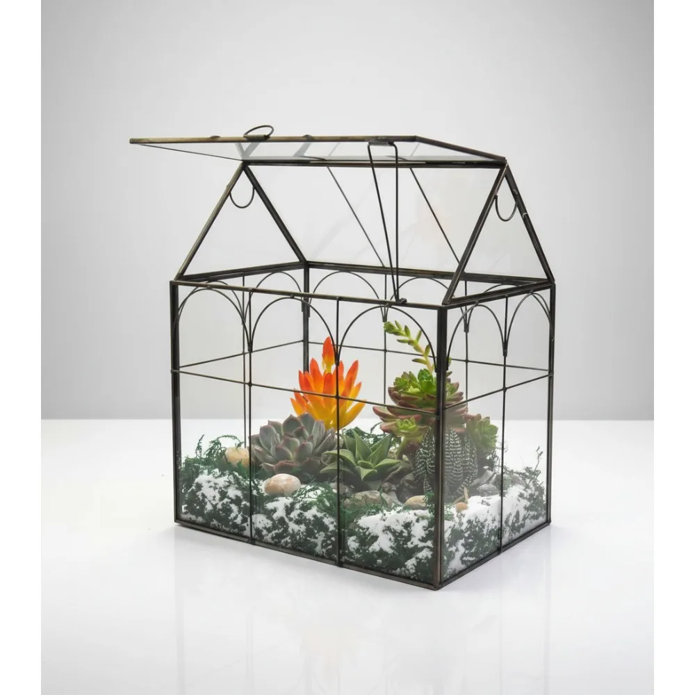 

Large Glass Plant Terrarium with Lid 8.7x5.9x10.6 Inches Indoor Greenhouse for Succulents Orchids Cacti Tabletop Decor