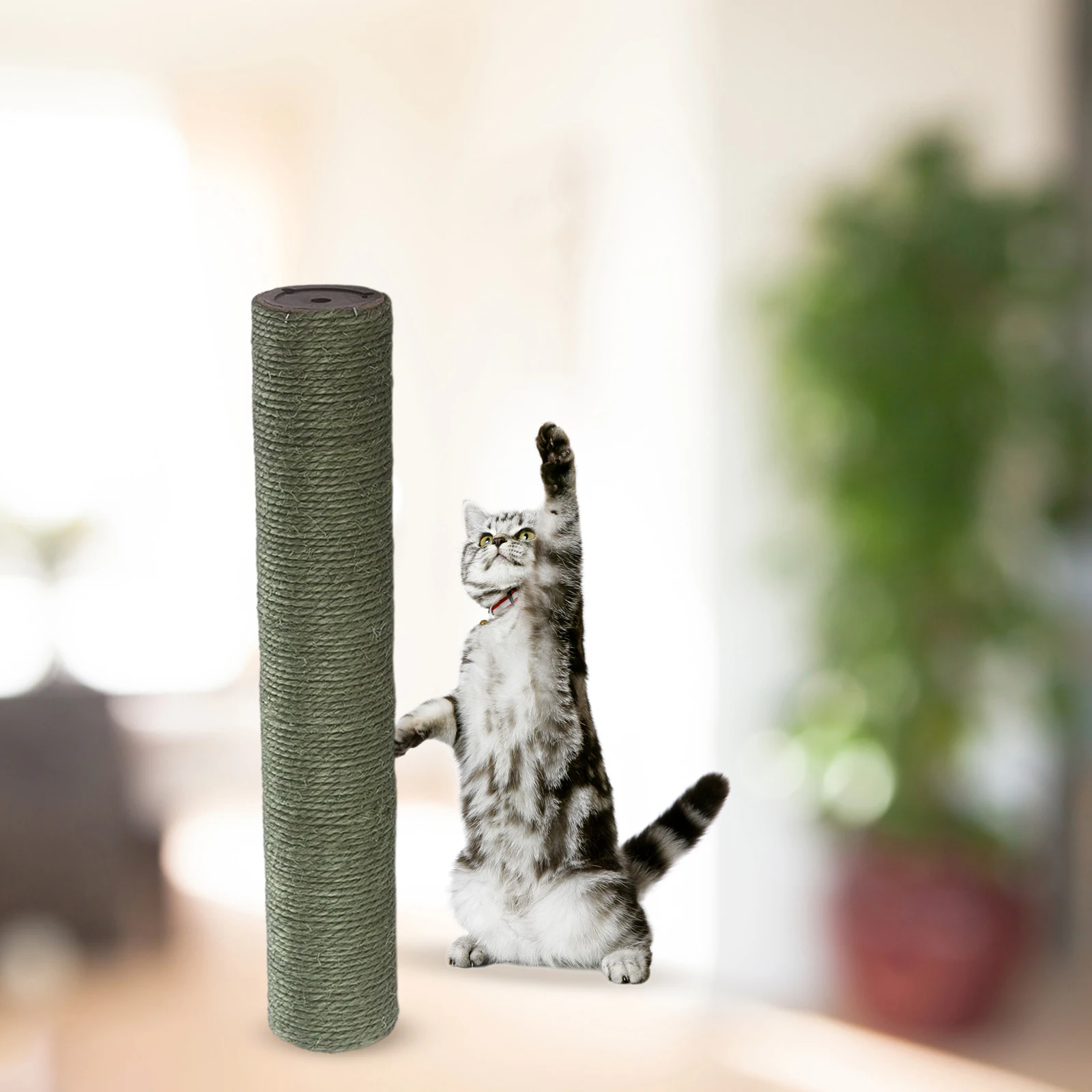 Poste de rascado para gato, juguete de cuerda de Sisal para animales pequeños, marco de escalada para jugar en interiores, DIY