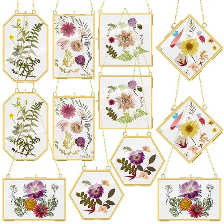 

Набор из 12 латунных рамок для прессованных цветов с цепочкой, прозрачная двойная стеклянная рамка для демонстрации произведений искусства, настенный декор с D-образным креплением