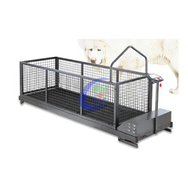 Dog Running Machine Big Dog Treadmill