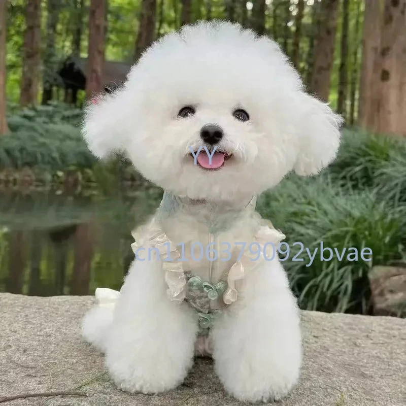 Cat Spring And Summer New Chinese Cheongsam Sleeveless Disc Buckle Satin National Style Skirt Pony Xishi Dog Clothes Thin