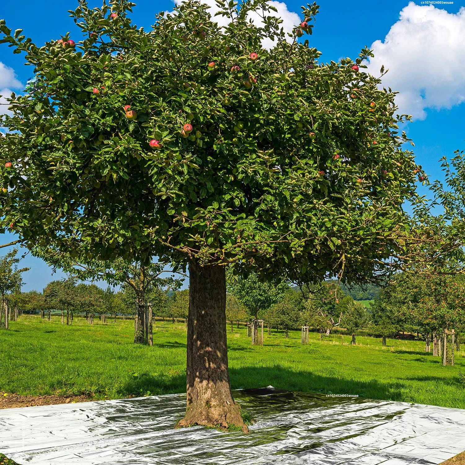 5pcs Emergency Blankets High Silver Reflective Foil Sheet Heat Foil Protection Rescue Blankets Camping Blanket Hiking Blankets